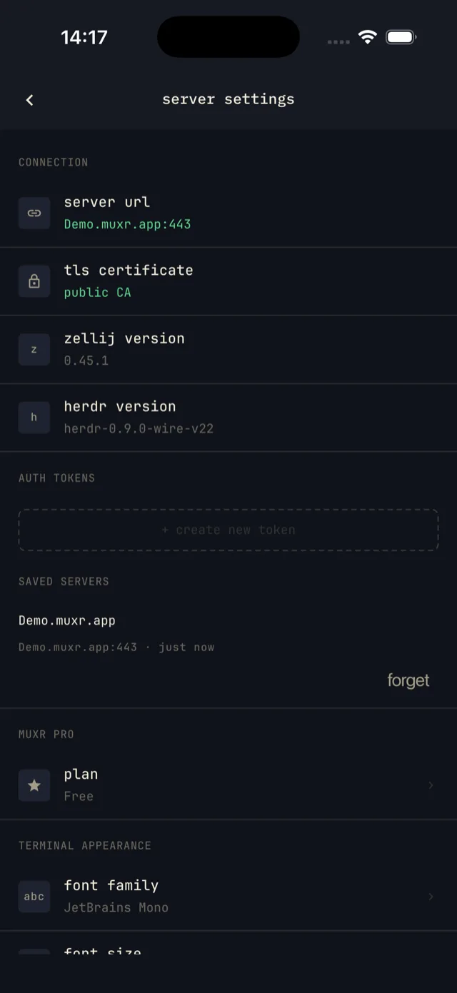 Server settings: connection, auth tokens, saved servers, Muxr Pro, terminal appearance