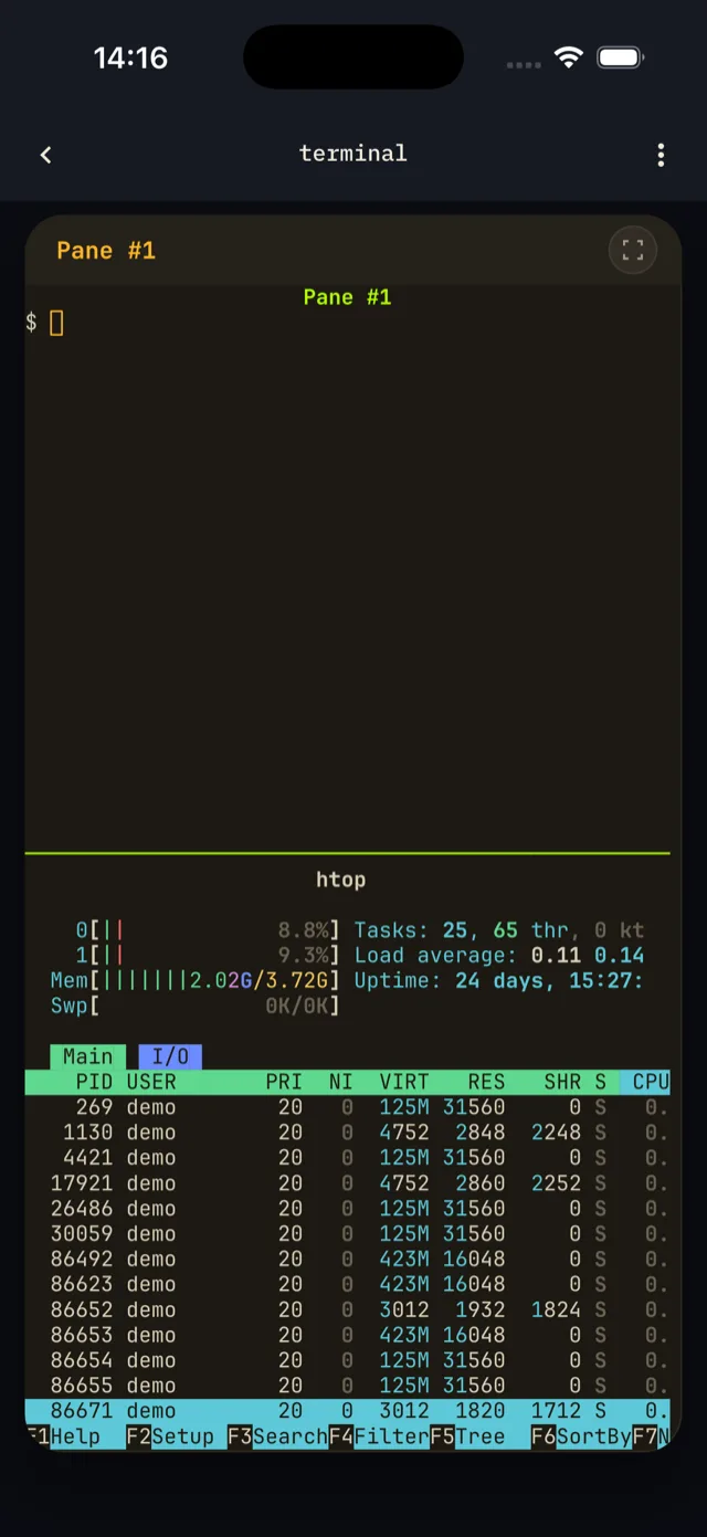 A pane split showing a shell above htop, running in the Terminal screen